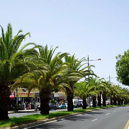 Apartment In Ocean Park, Costa Adeje, Tenerife *